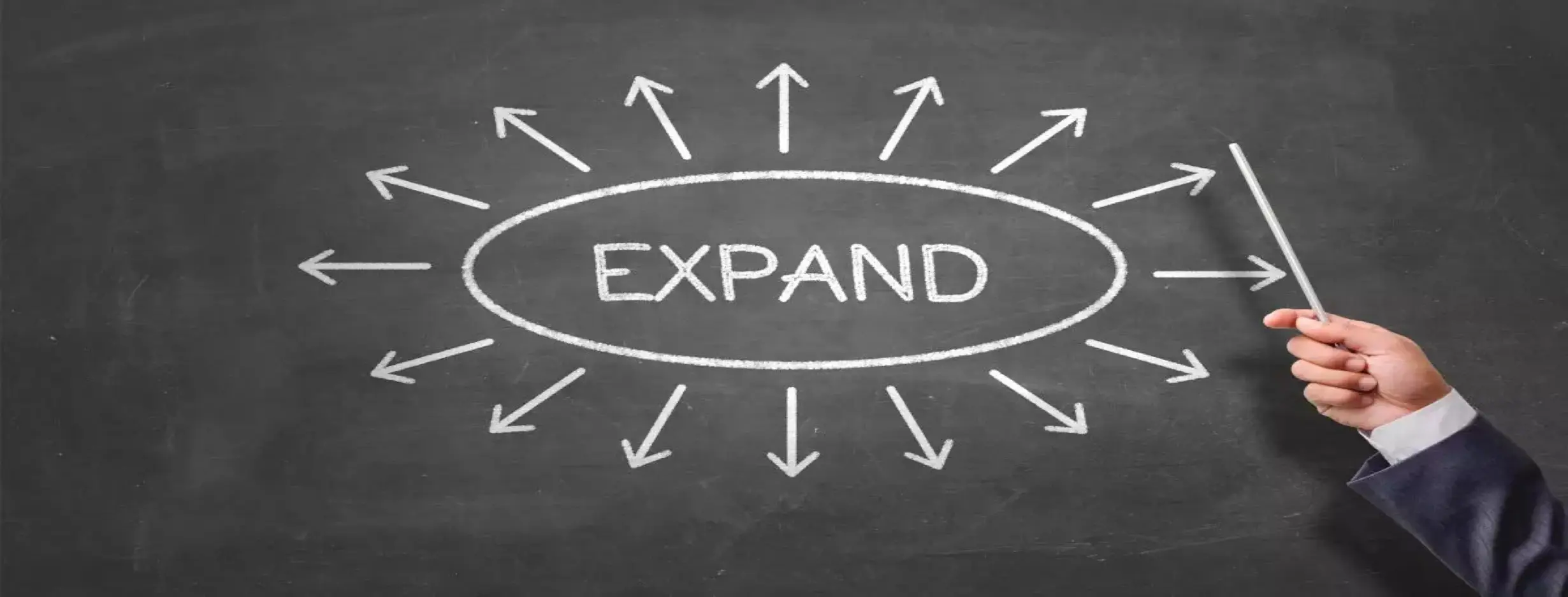 Image for Strategic Expansion